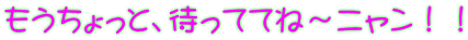 もうちょっと、待っててね～ニャン！！ 